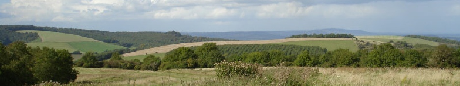 South Downs - Arundel Self Catering
